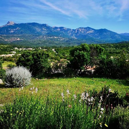 Appartements Avec Jardin Entre Porto-Vecchio Et Figari - Casa Mattiste Sotta Extérieur photo