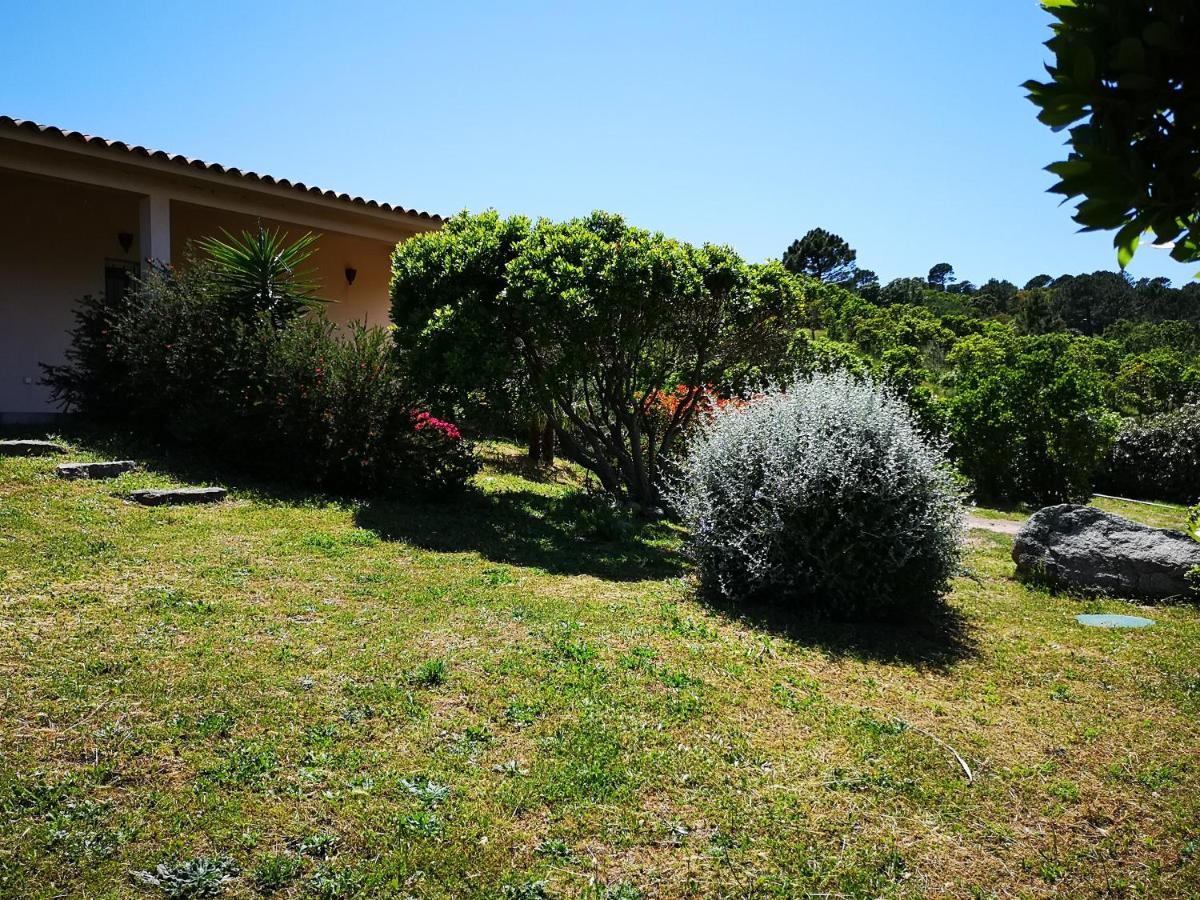 Appartements Avec Jardin Entre Porto-Vecchio Et Figari - Casa Mattiste Sotta Extérieur photo