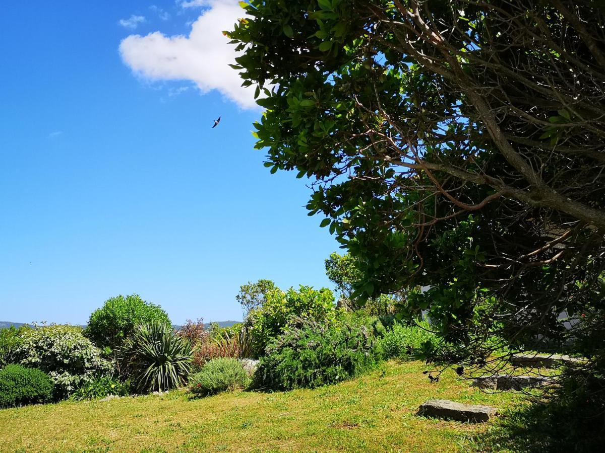 Appartements Avec Jardin Entre Porto-Vecchio Et Figari - Casa Mattiste Sotta Extérieur photo